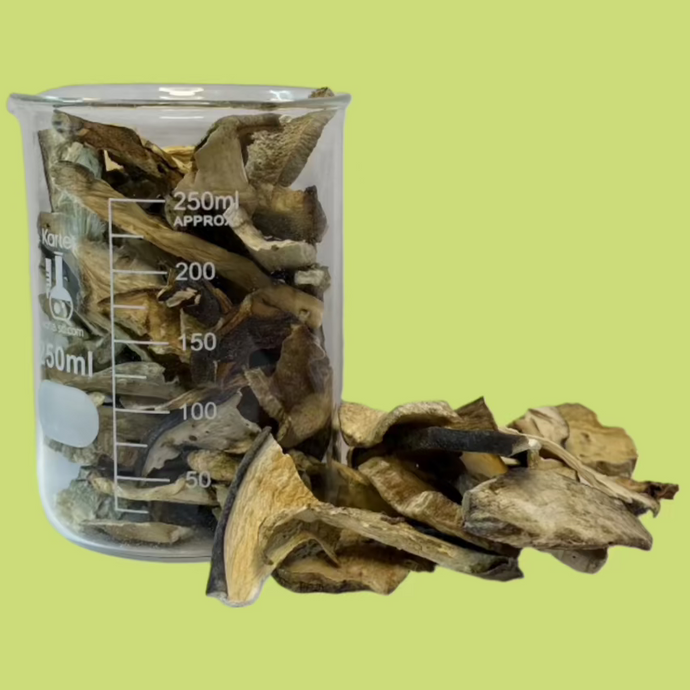 Dried Porcini Mushroom - 4 oz