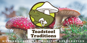 Toadstool Traditions