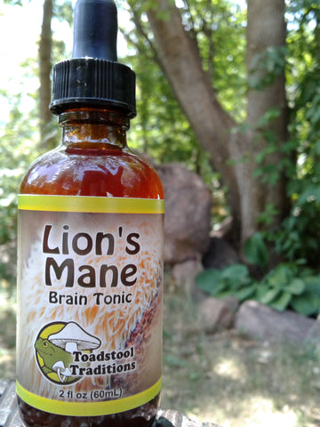 Lion's Mane Brain Tonic